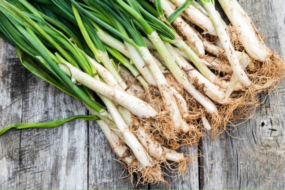 La innovación también tiene que ver con los calçots