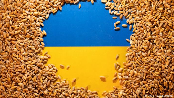La producción de cereal de Ucrania se reducirá en un 40%