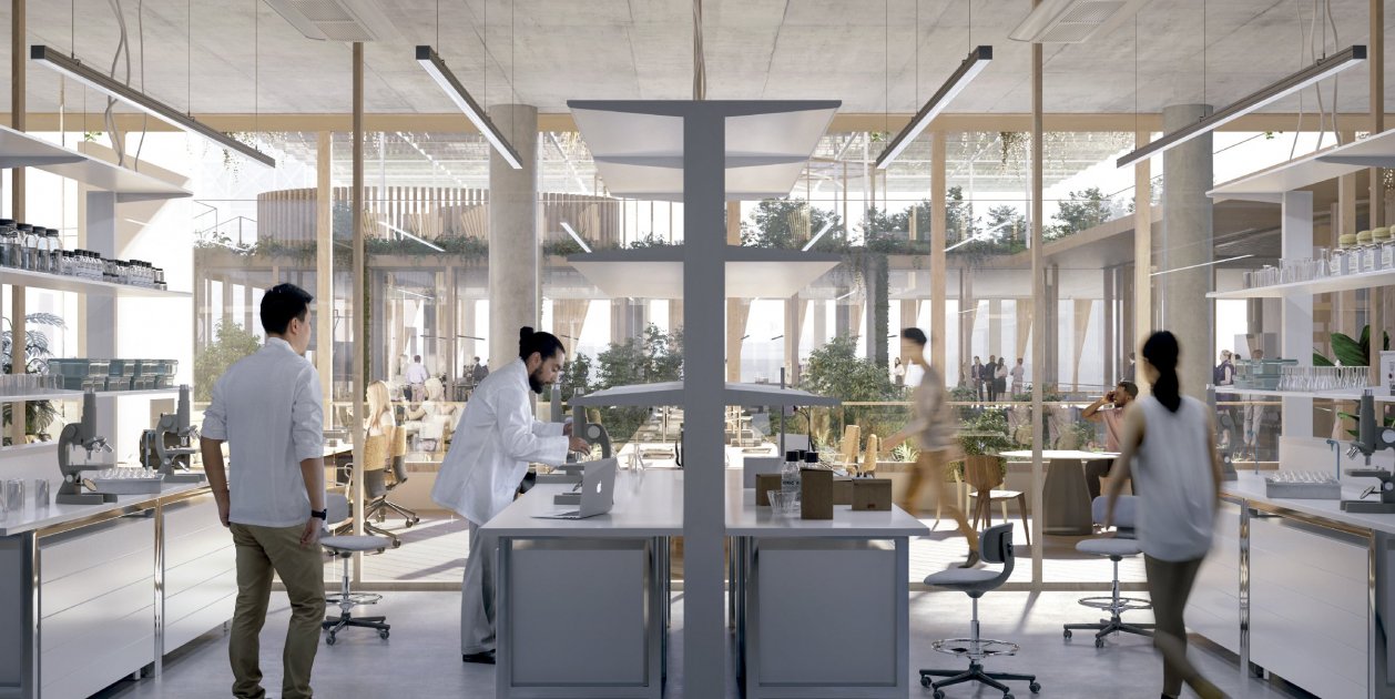 complejo investigación|búsqueda mercado del pescado|pez ciudadela del conocimiento ajbcn (2) complejo investigación|búsqueda mercado del pescado|pez ciudadela del conocimiento ajbcn (2)