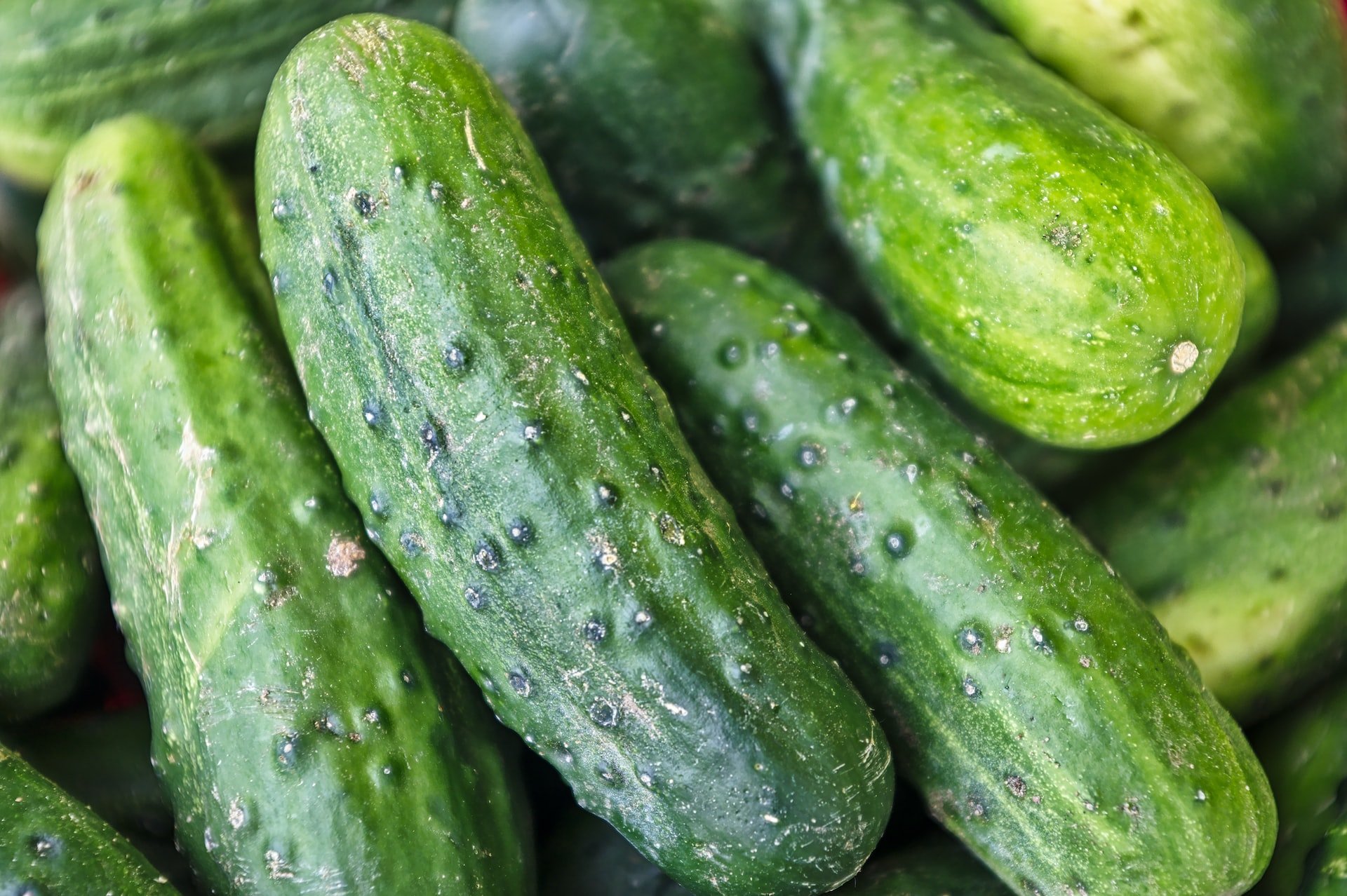 6 trucos para evitar que el pepino se te repita