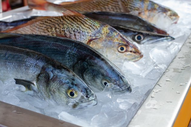 Pescado Pescado