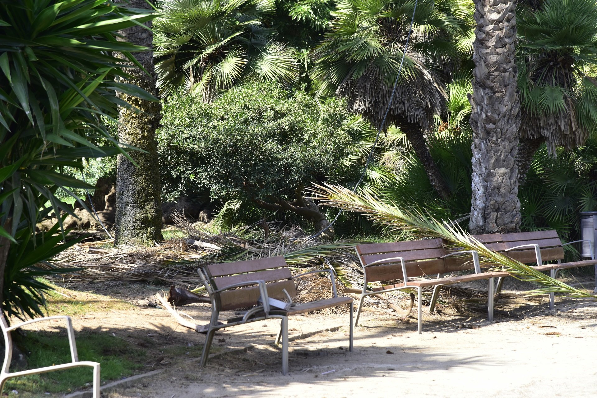 Barcelona cierra todos los parques por el fuerte viento de la borrasca Fien