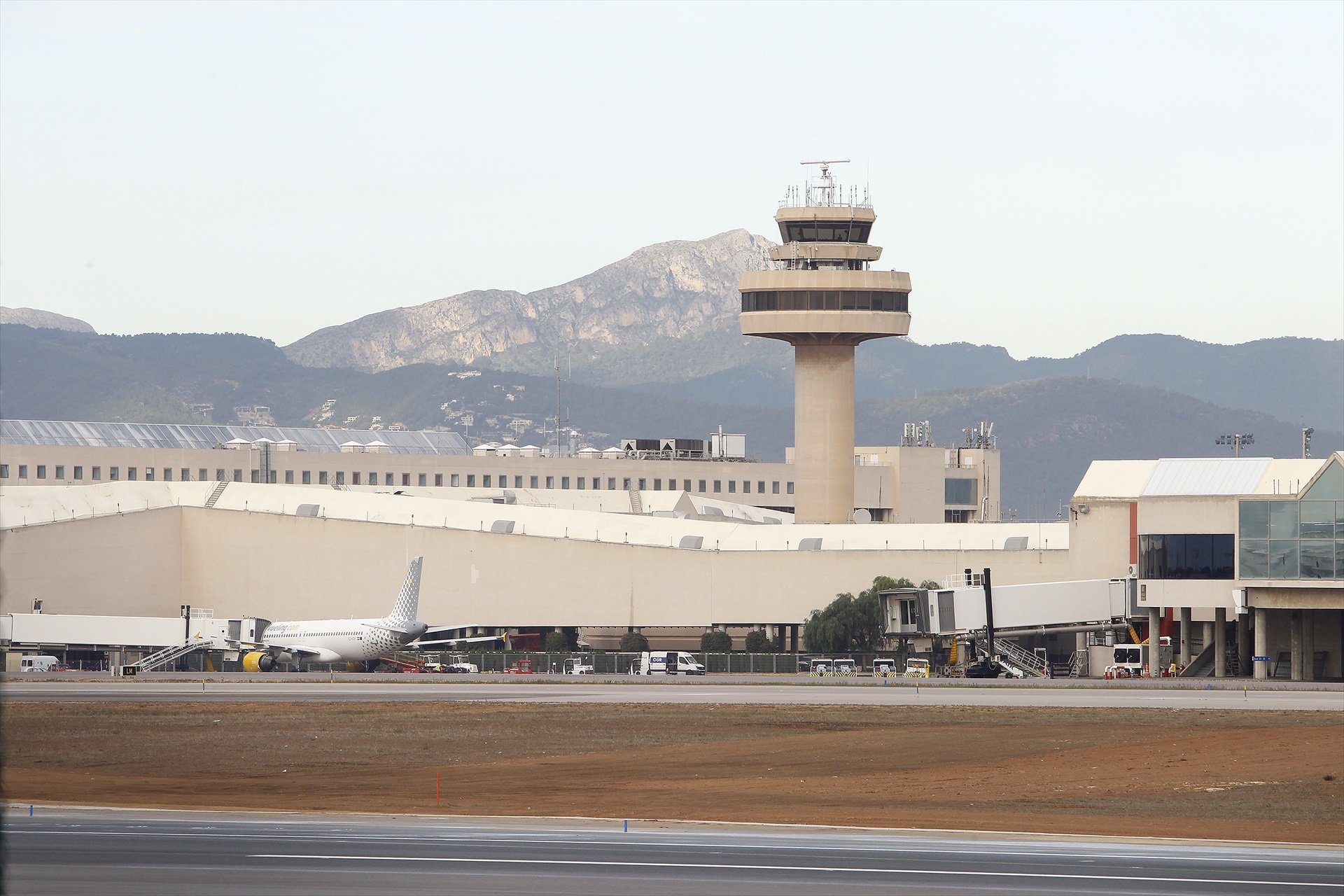 Els 22 migrants que van fugir d'un avió a Palma, en llibertat per la reforma de la sedició