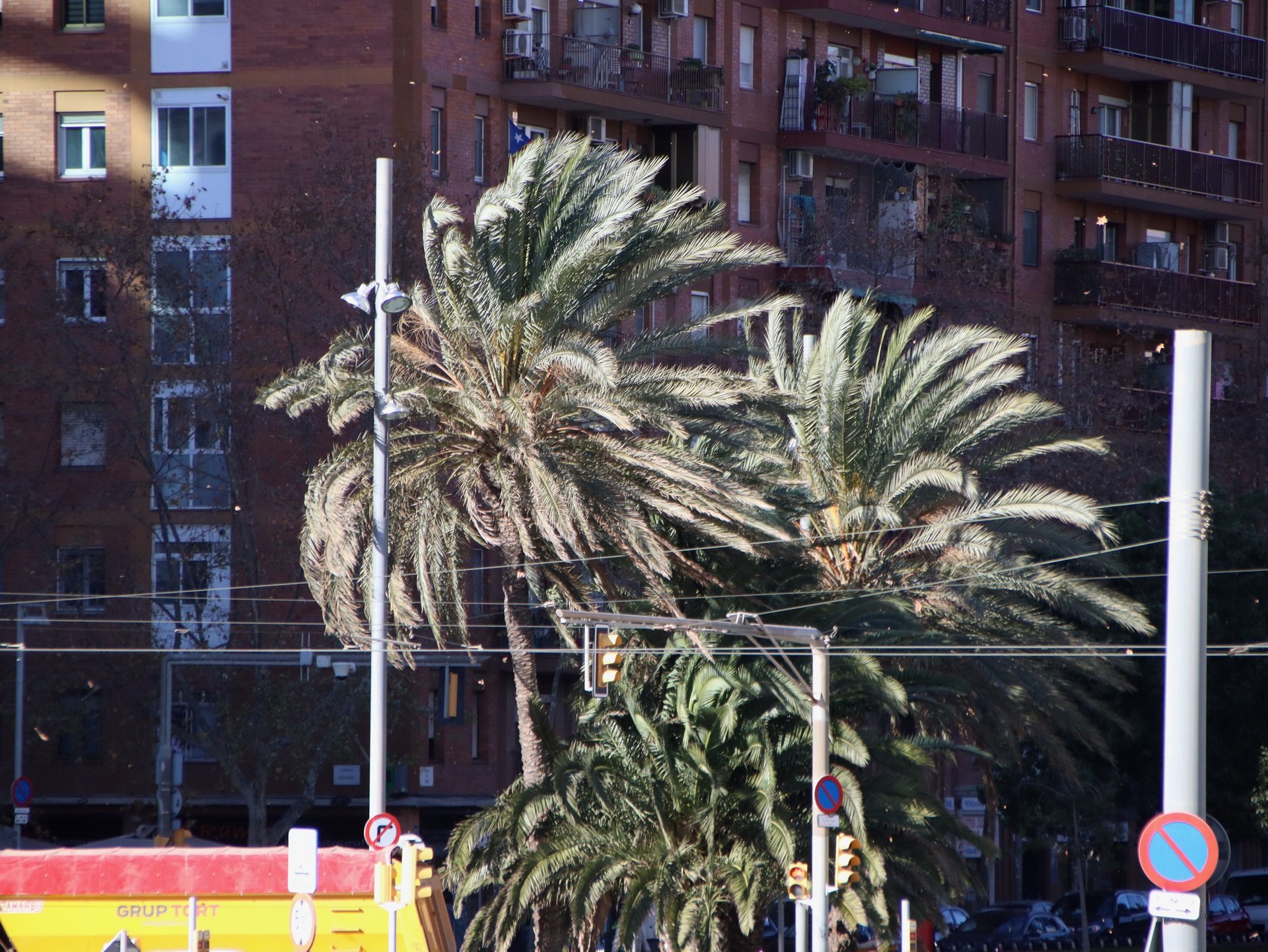 La borrasca Ciarán arriba a Catalunya: alertes per vent i fort onatge