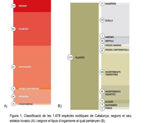 Taula Classificacio especies invasores / Govern Taula Classificacio especies invasores / Govern