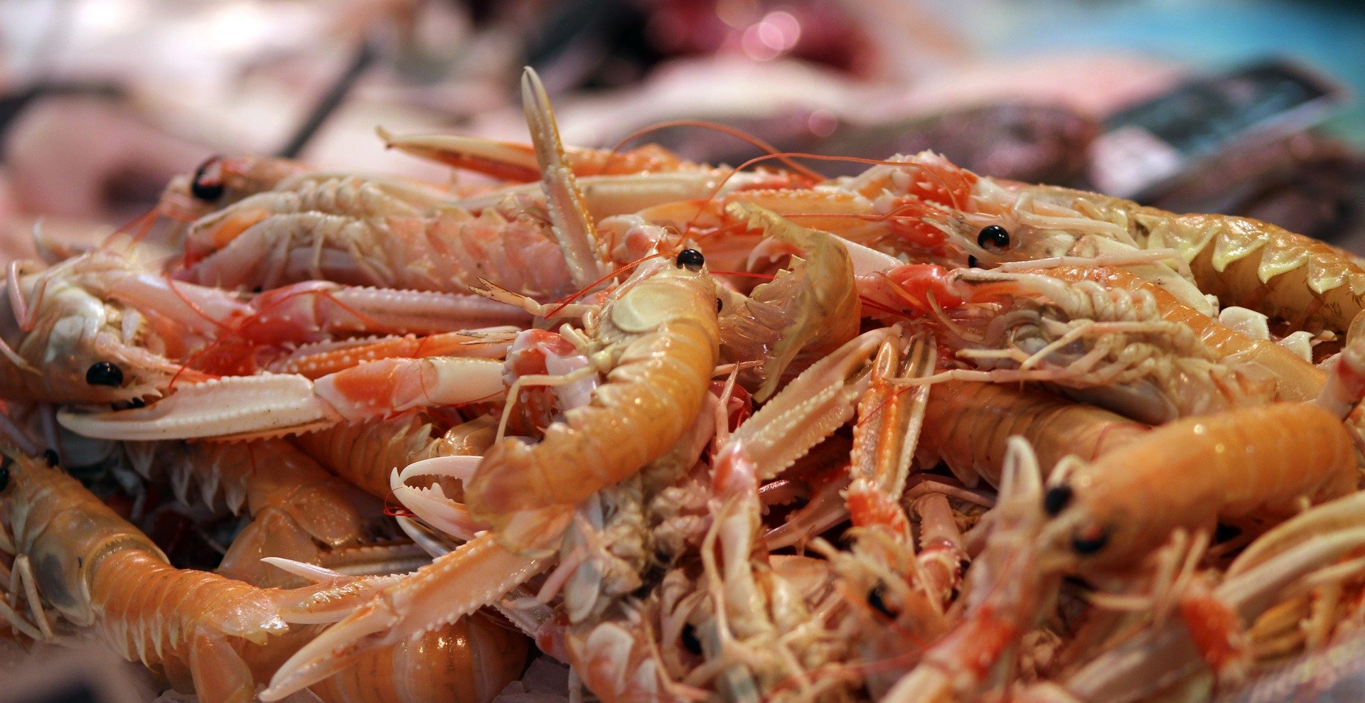 Cigalas Foto Pixabay Cigalas Foto Pixabay