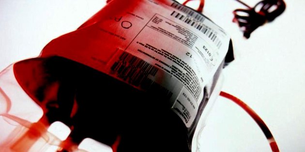 sangre artificial fisiofocus sangre artificial fisiofocus