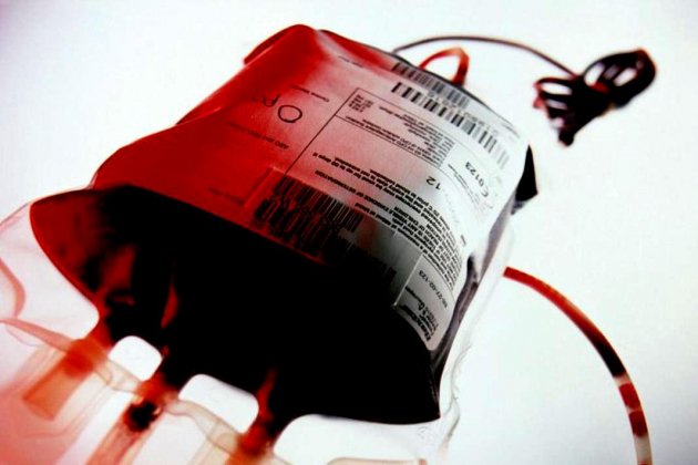 sangre artificial fisiofocus sangre artificial fisiofocus