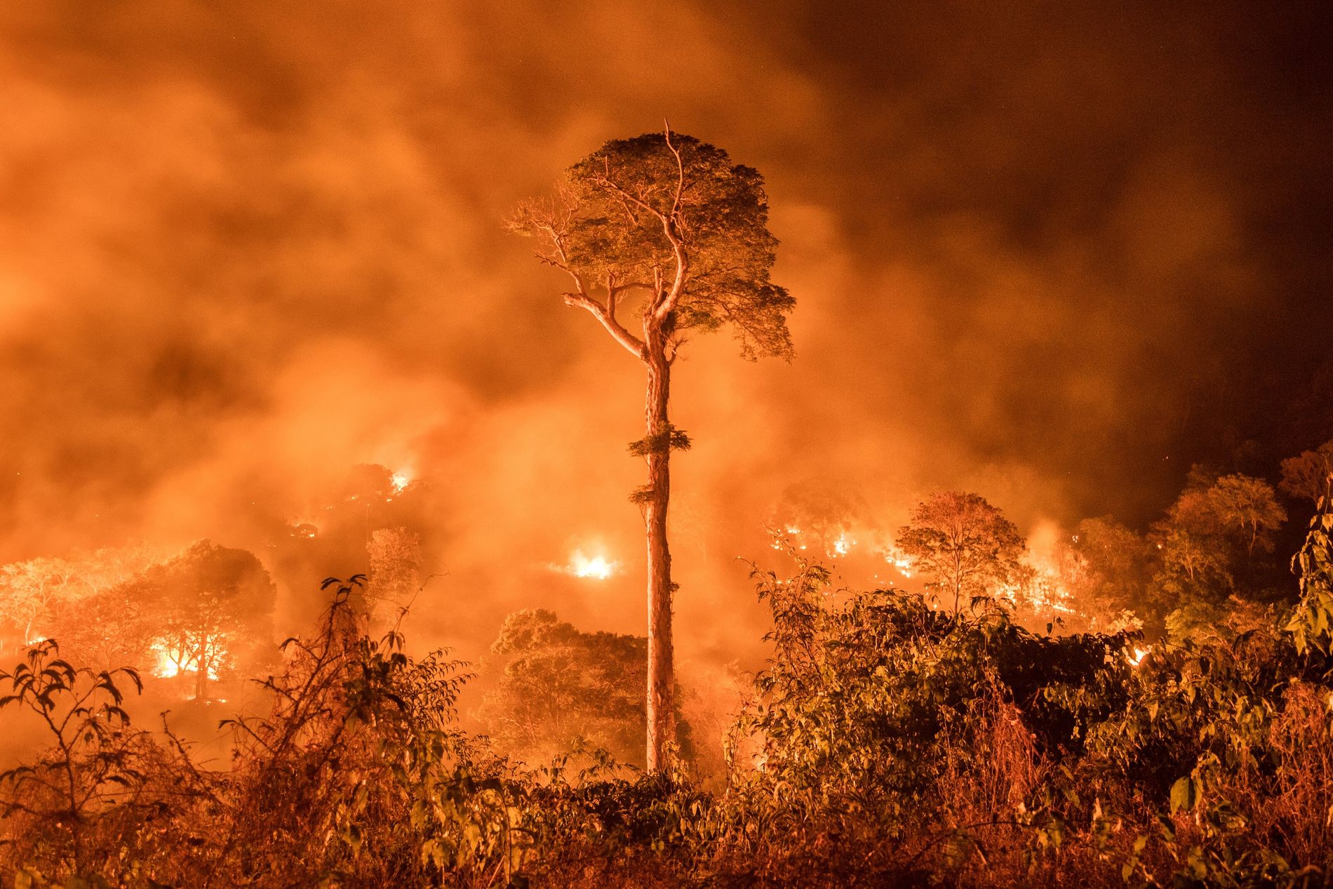 La inteligencia artificial también ayuda a luchar contra los incendios