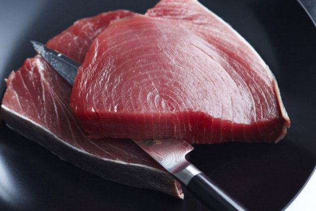 atun vermell la millor proteina del mar 2 768x506