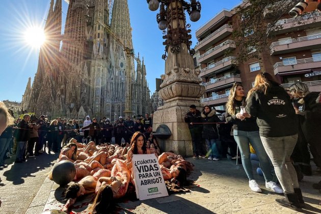 animalistas sagrada familia QUIMO RIERA