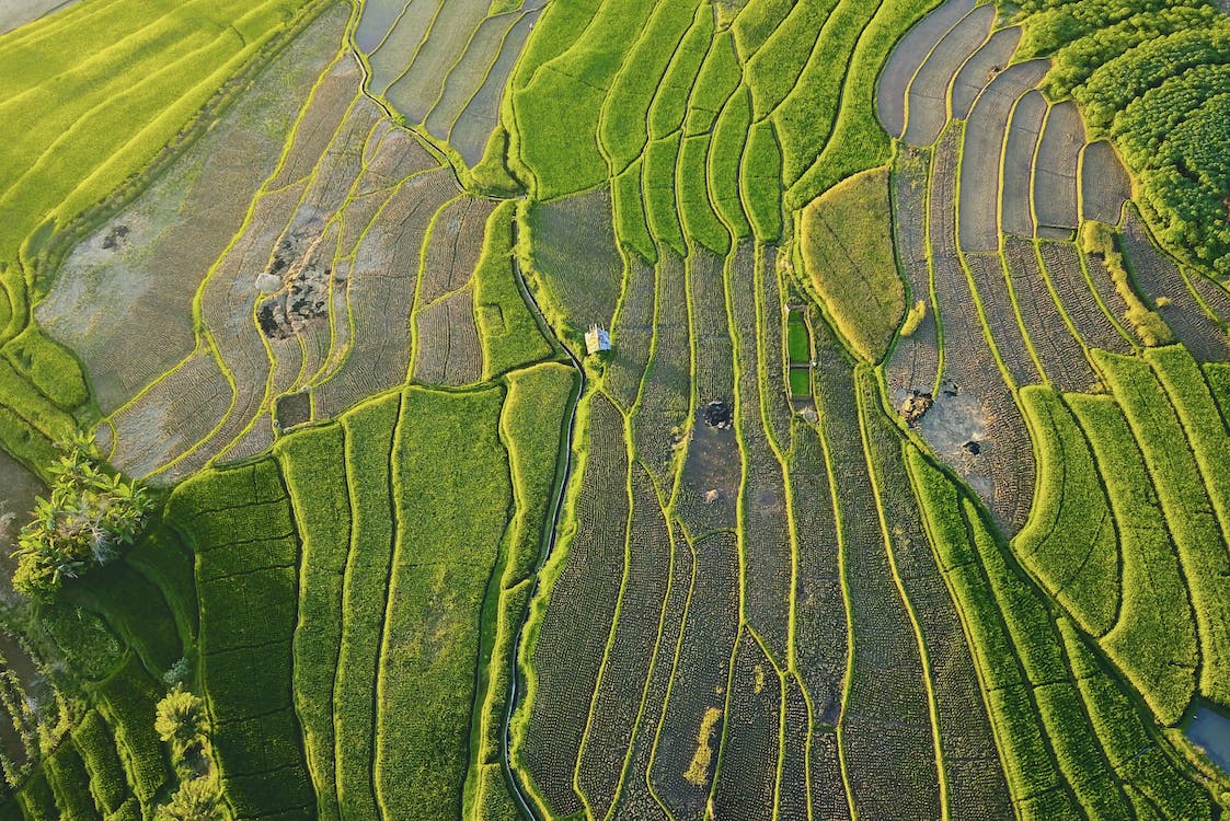 Bill Gates tiene más terrenos agrícolas que la Casa de Alba