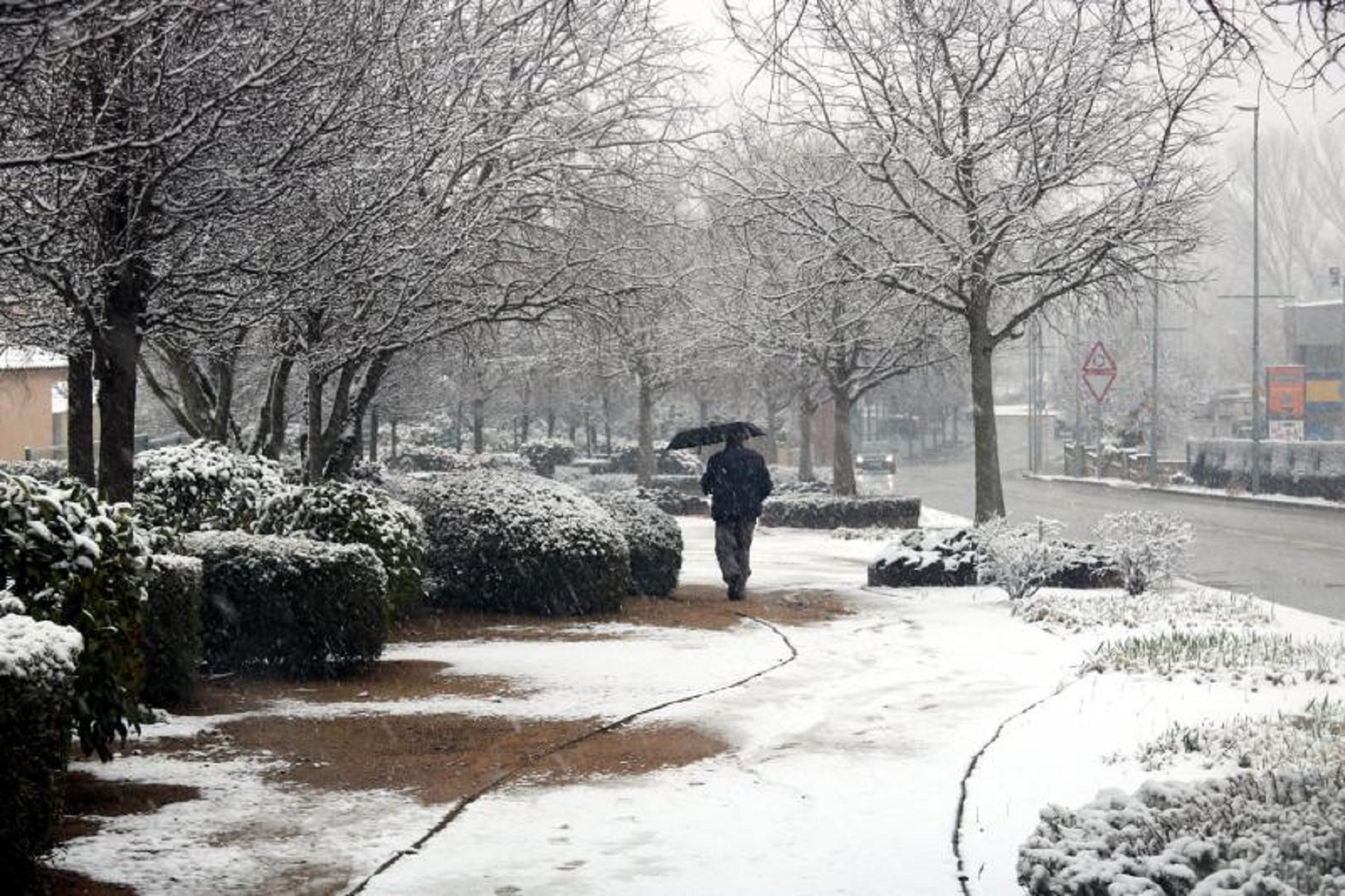 Nieve en Maçanet de la Selva Foto ACN