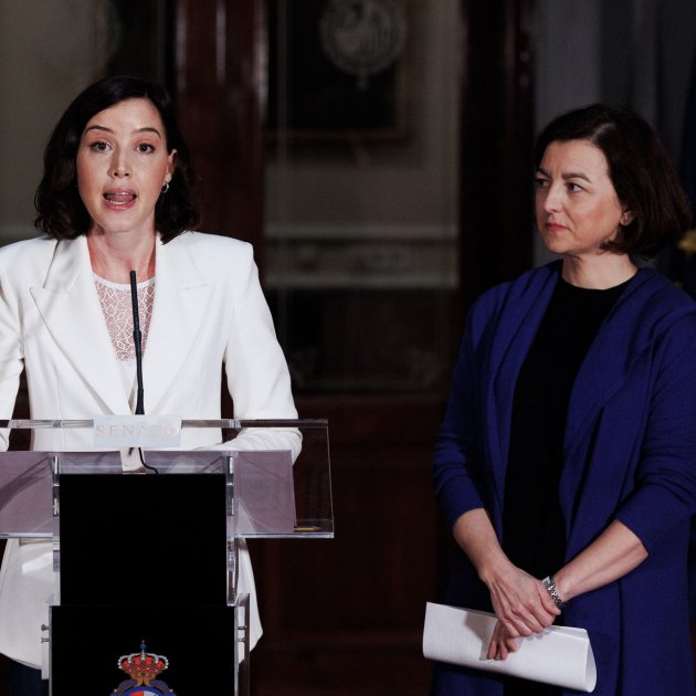 Pla PSOE blindar dret avortament, Senat / Efe