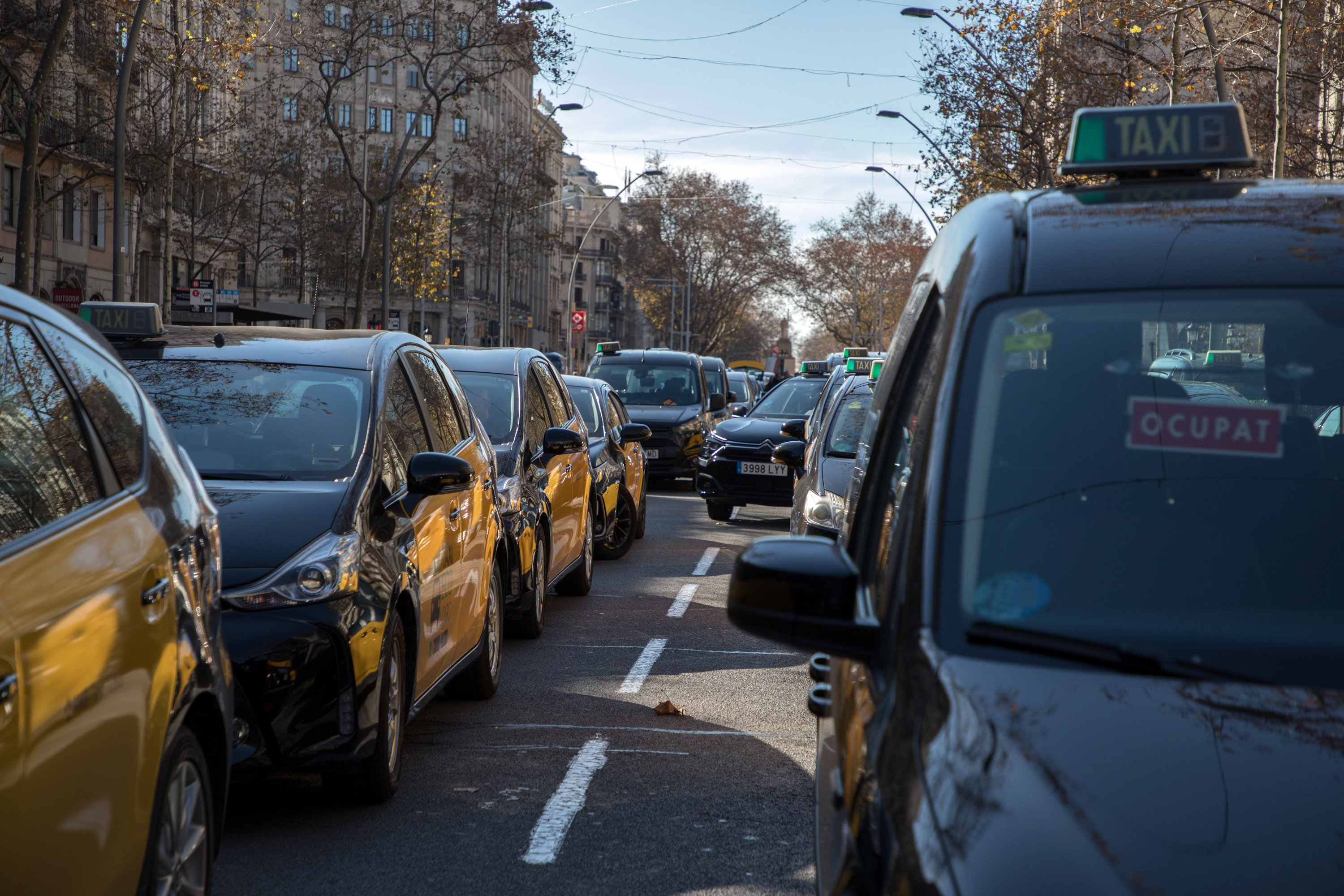 Vaga taxis Barcelona / Foto: Eva Parey