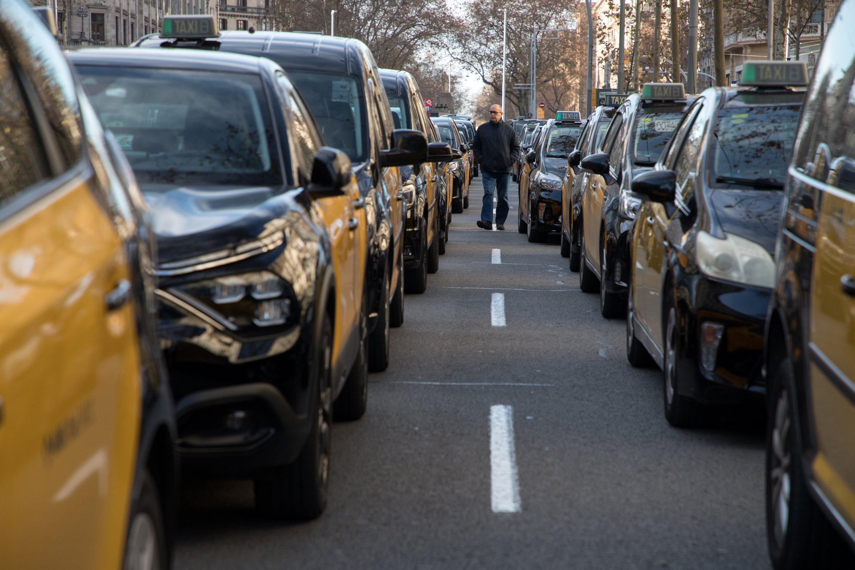 Élite Taxi anima a los taxistas a aprender catalán: "No es ningún obstáculo ni una herramienta para excluir"