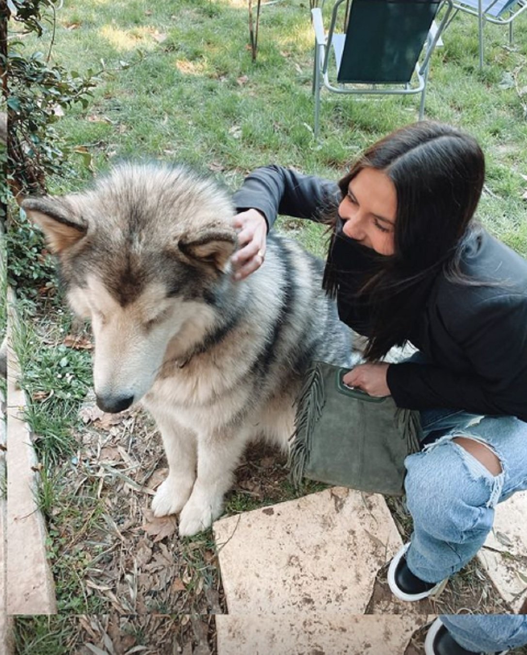 Gemma Iglesias y un perro   IG stories