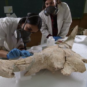 Cráneos en una cueva demuestran que los neandertales ya tenían capacidad "simbólica"