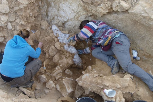 Cranis cova neandertal / Javier Trueba, Museu de l'Evolució Humana