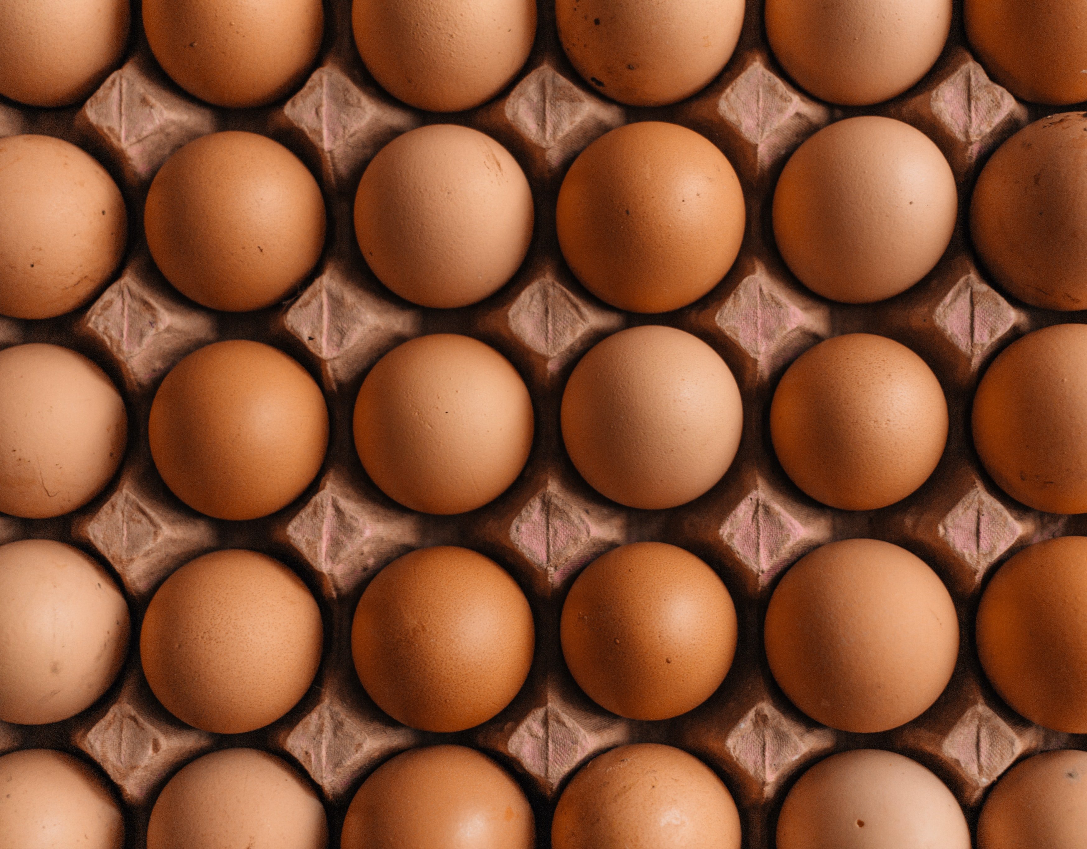 Diecisiete euros por una docena de huevos: ¿por qué son tan caros en los EE.UU.?