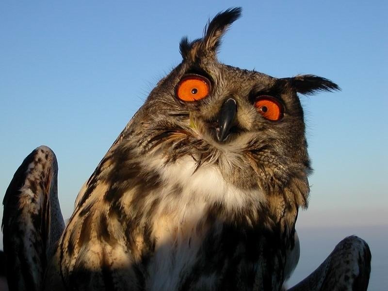 Cap de Creus (Catalunya)