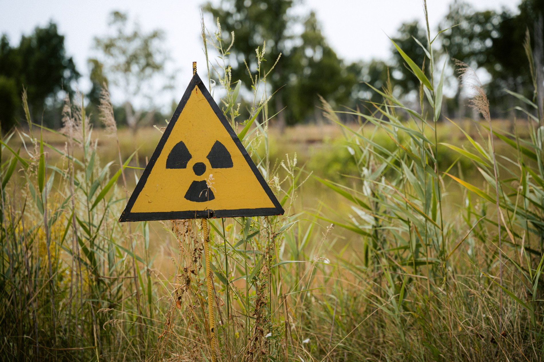 Las autoridades australianas buscan una cápsula radiactiva extraviada que puede provocar cáncer