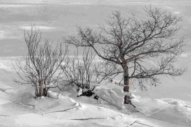 El embalse de Grados en Tavascan queda totalmente cubierto de hielo|gel / Ramon Baylina