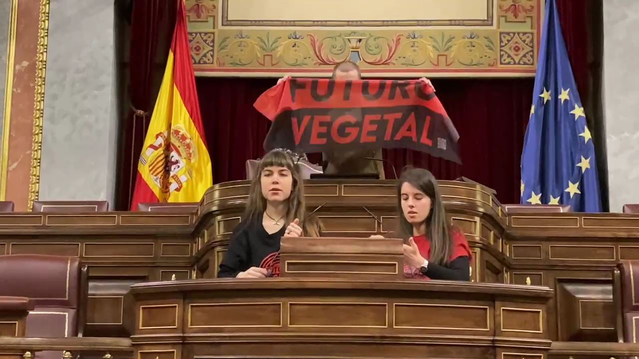 Activistes mediambientals s'enganxen als micròfons del Congrés dels Diputats