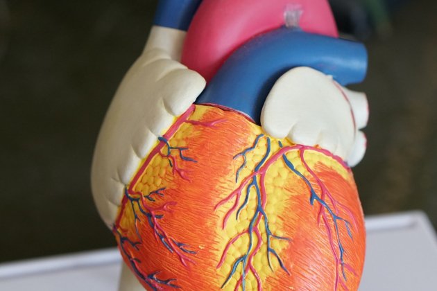 Corazón Corazón