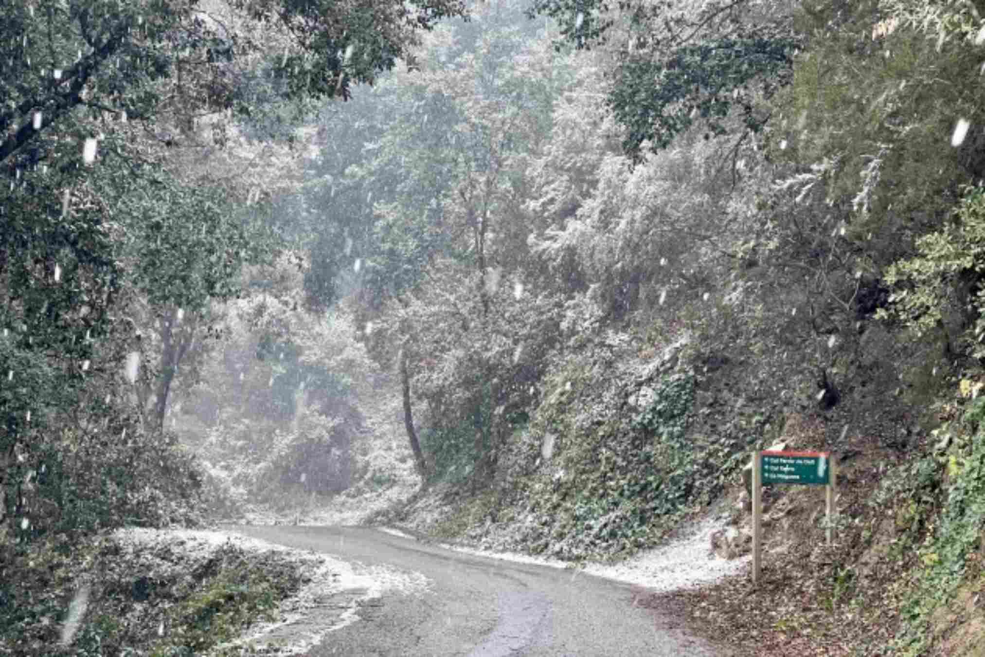 Nevada en el Montseny a finales de enero / Foto: ACN Nevada en el Montseny a finales de enero / Foto: ACN