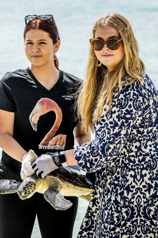 Amalia Holanda tortuga GTRES Amalia Holanda tortuga GTRES