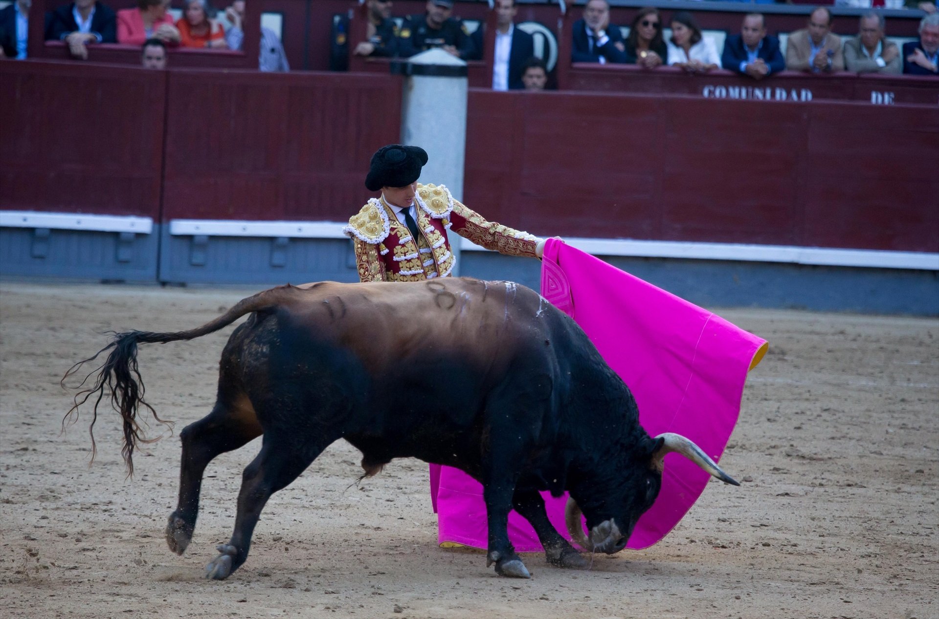 ¿Apruebas que el bono cultural joven incluya los toros?