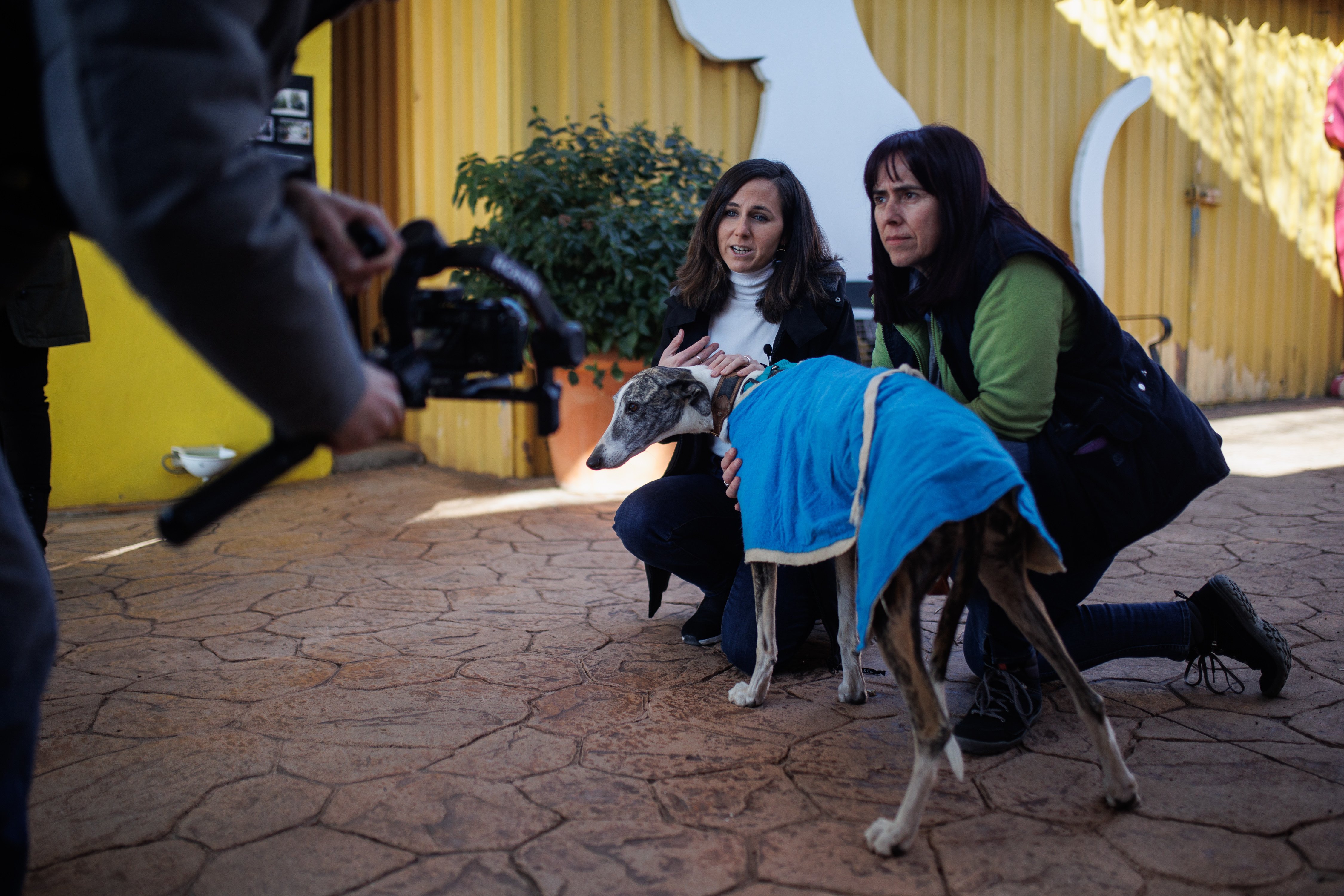 Nova batussa entre els socis del govern espanyol al Congrés: ara pels gossos de caça