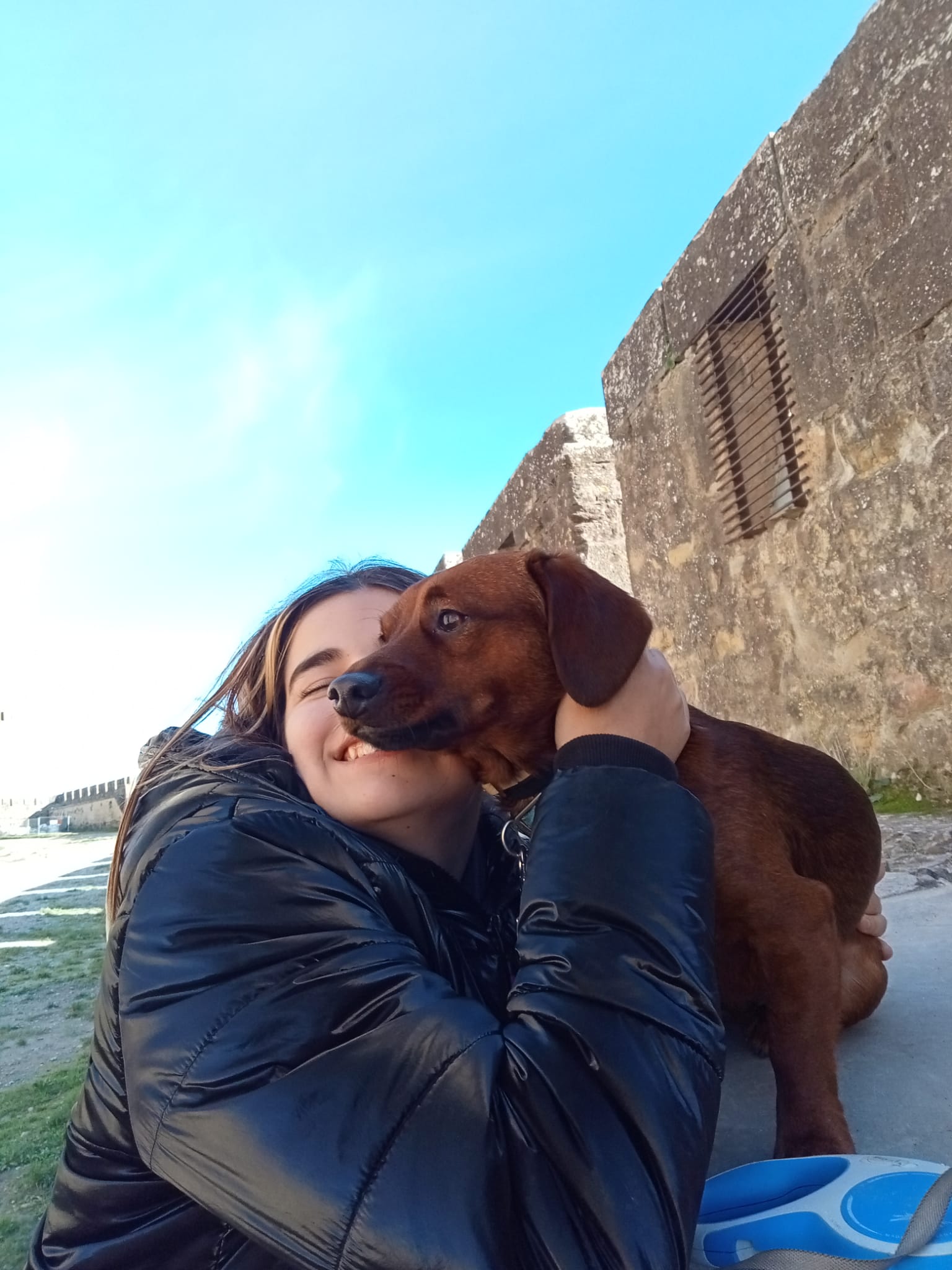 ¿Usted también cree que su perro le quiere más que su pareja?