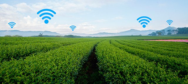El Ministerio de Agricultura mejorará su Sede Electrónica