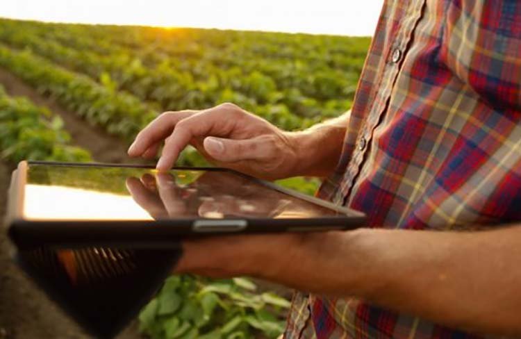 ¿Una reforma laboral contra el sector agrario?