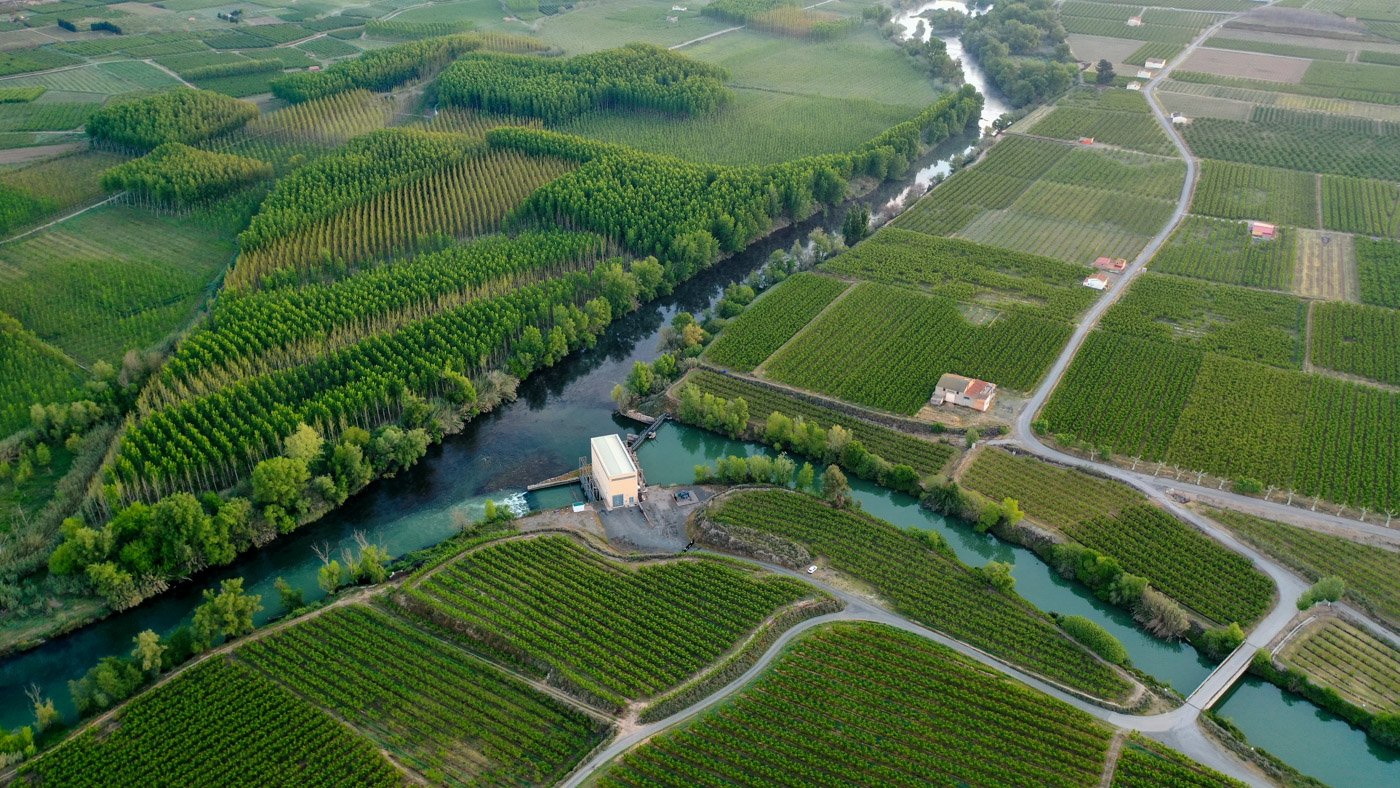 Més de 50 milions d'euros per modernitzar regadius a Catalunya i Aragó