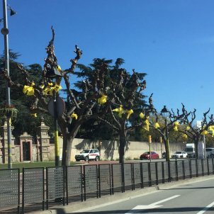 llaços grocs barri Alemany 5 Gemma Liñán llaços grocs barri Alemany 5 Gemma Liñán