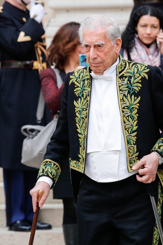 Mario Vargas Llosa academia EFE Mario Vargas Llosa academia EFE