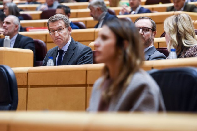 EuropaPress presidente pp alberto nunez feijoo senado irene montero