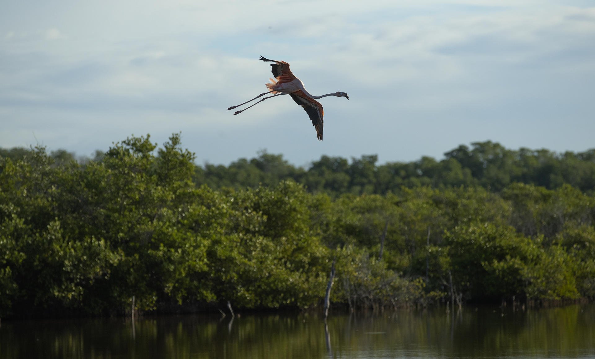 Montecristo (República Dominicana)