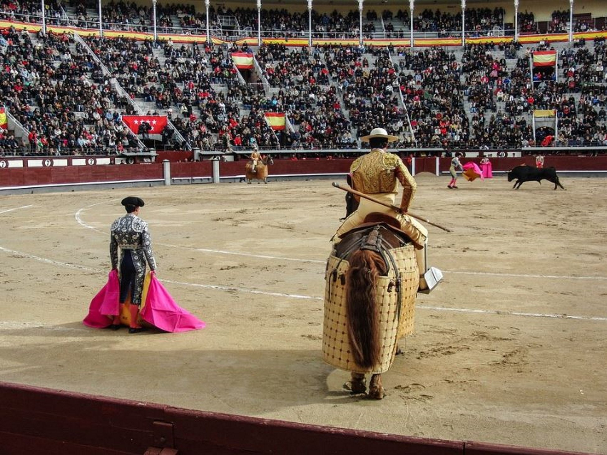 Estupefacción en Alemania por las escuelas infantiles de toreros: "Ayudé a matarlo"