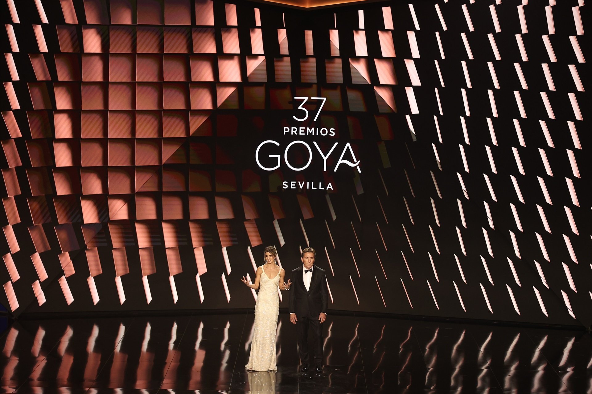 Los premios Goya pierden 93.000 espectadores en la televisión