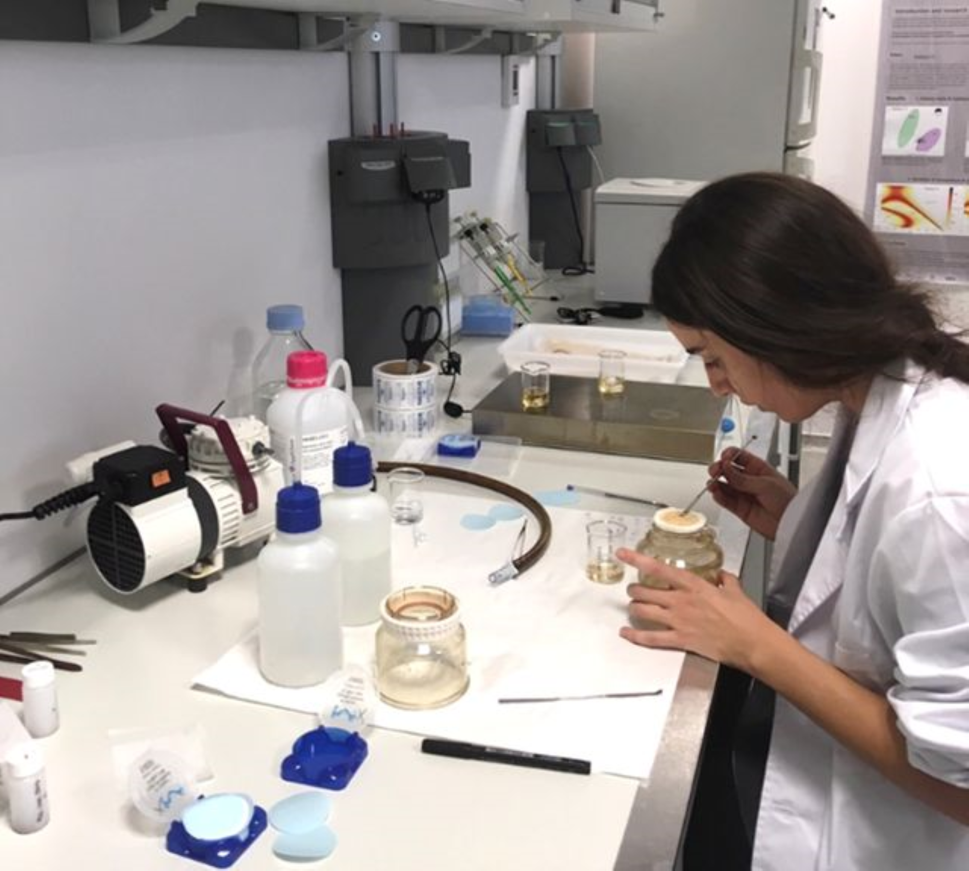 Fundación Palarq dona suport a 72 projectes arqueològics a l'estranger liderats des de Catalunya