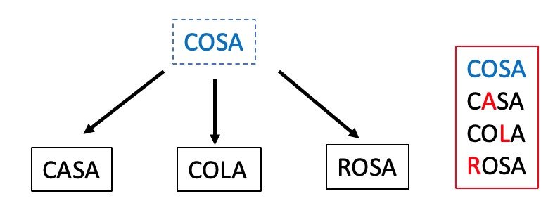 cosa casa cola rosa