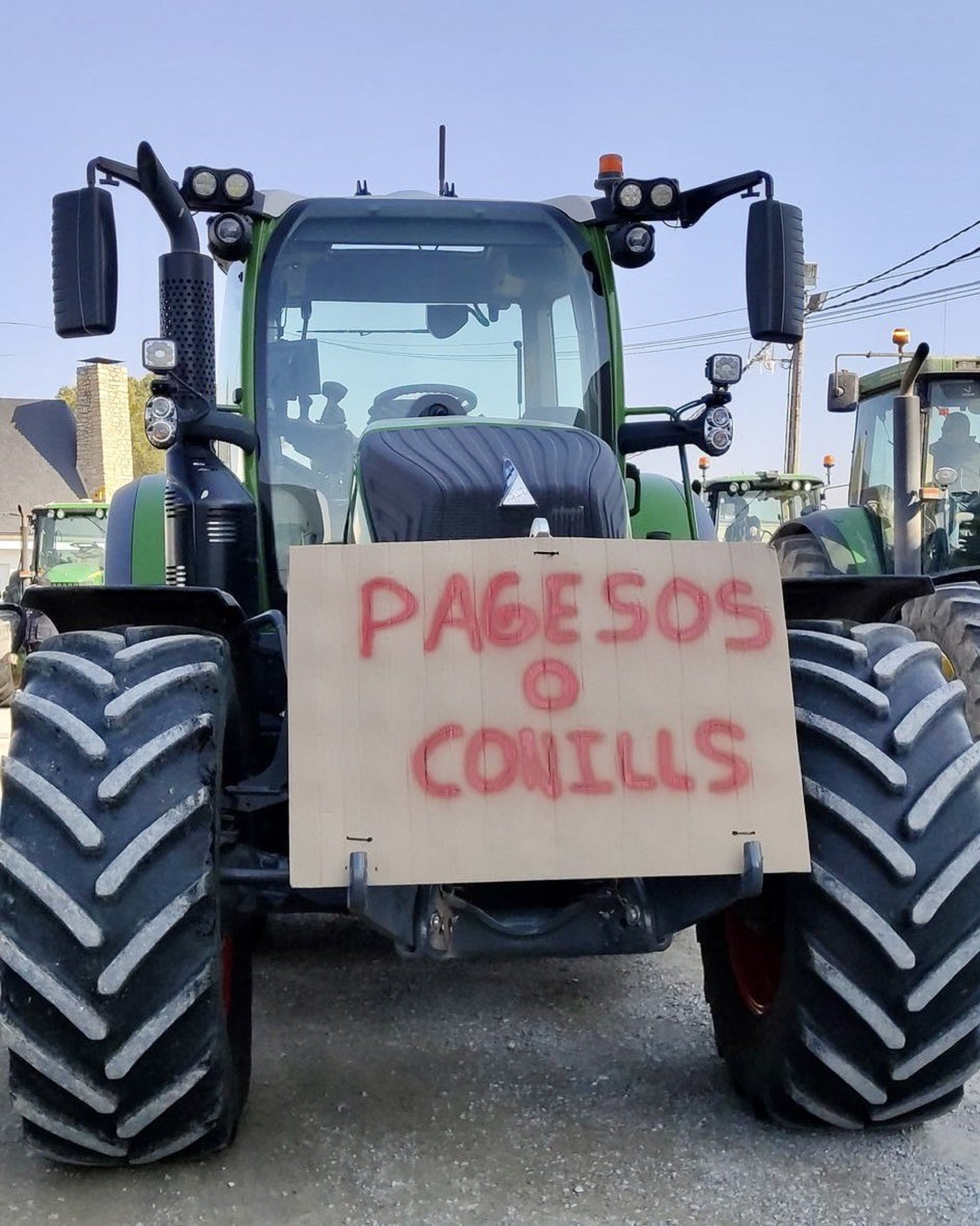 Una plaga de conills posa al límit la pagesia de Lleida