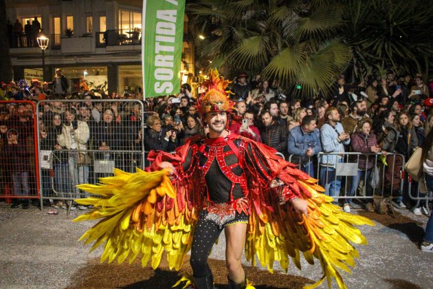 carnival sitges bird