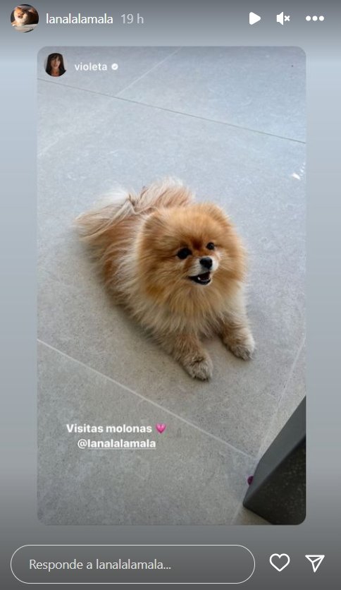 Nala perra Alexia Instagram