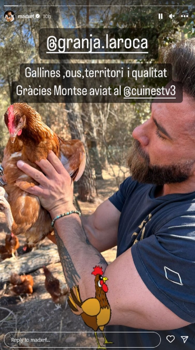 Marc Ribas gallina IG stories Marc Ribas gallina IG stories