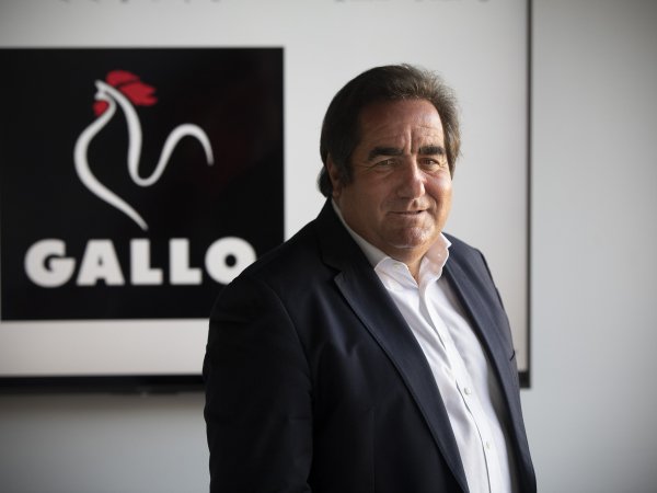 Fernando Fernández, CEO de Pastas Gallo Fernando Fernández, CEO de Pastas Gallo